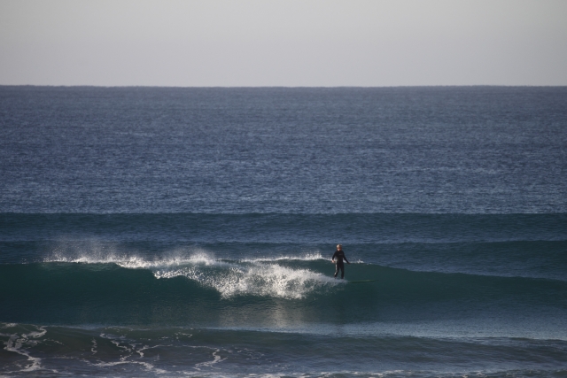Dominando el mar.jpg